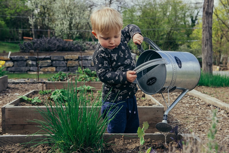 Growing Green Thumbs Fun Gardening Activities for Kids