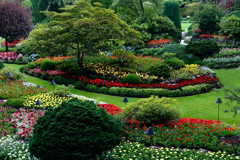 Transforming Your Lawn The Art of Landscaping
